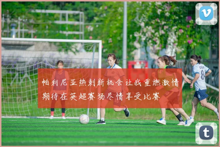 帕利尼亚热刺新机会让我重燃激情期待在英超赛场尽情享受比赛