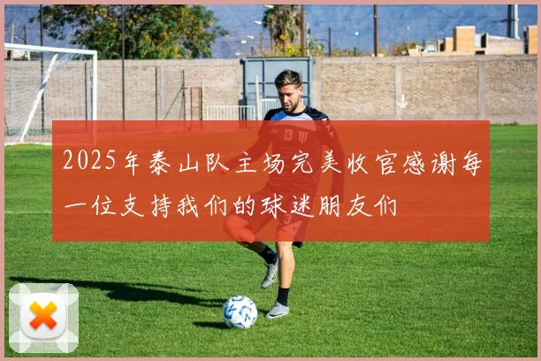 2025年泰山队主场完美收官感谢每一位支持我们的球迷朋友们