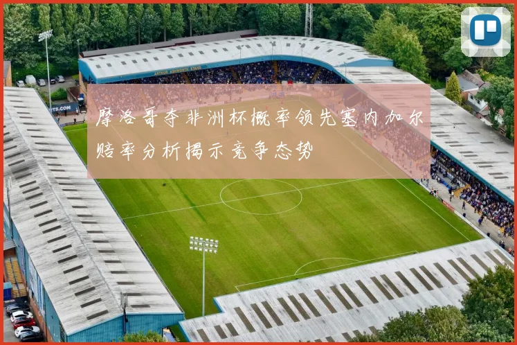 摩洛哥夺非洲杯概率领先塞内加尔赔率分析揭示竞争态势
