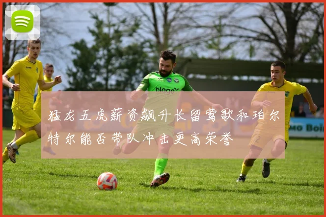 猛龙五虎薪资飙升长留莺歌和珀尔特尔能否带队冲击更高荣誉