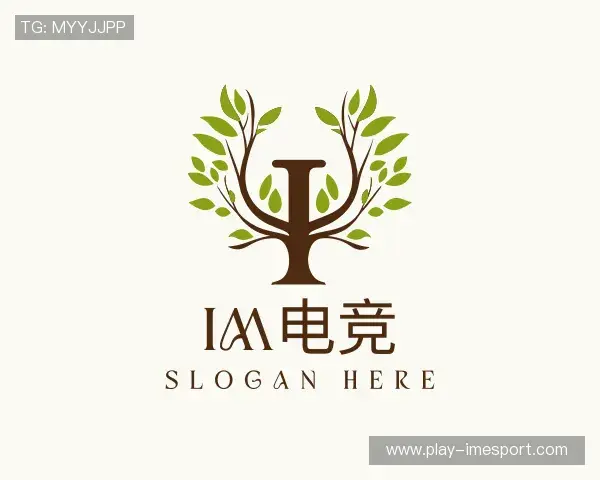 解读IM电竞官网